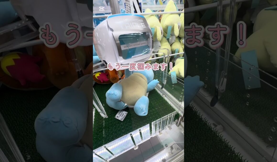 ゼニガメに挑戦❗️３回目🐢  #shorts