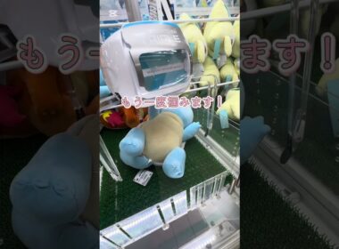 ゼニガメに挑戦❗️３回目🐢  #shorts