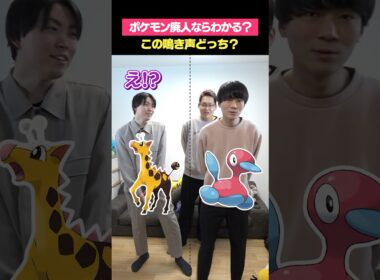 ポケモンの鳴き声を協力して当てろ！