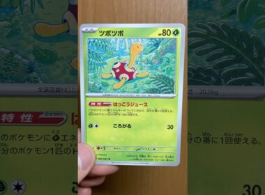 【ポケカ】ツボツボのカードを楽しく鑑賞します #ポケカ #ポケモン #メガシンフォニア