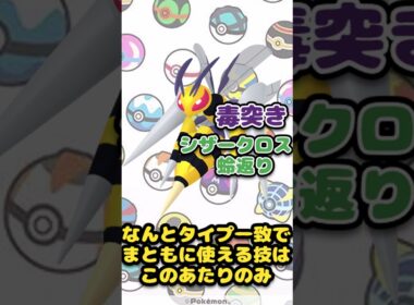 S145のA150！超高速アタッカーのメガスピアー　最新情報メガシンカ解説Part4メガスピアー