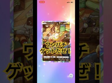 【開封動画】ワンパチ #ポケカ開封動画 #ポケモンカード #ポケポケ #ポケモン #ポケカ