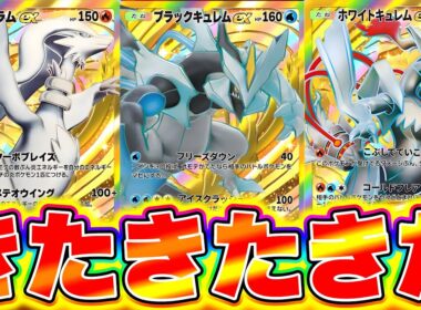 【速報】レシラム・ゼクロム登場確定！公式発表の衝撃内容がヤバい ポケポケ最新情報 ポケポケ速報 ポケポケ新パック ポケポケネタバレ ポケポケ公式