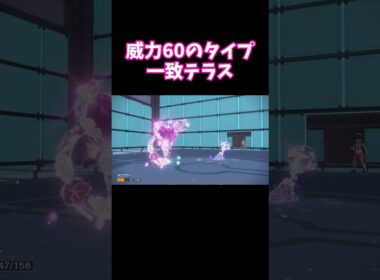 【育成論】知らなきゃ損する！？キュワワーの火力がヤバすぎる！