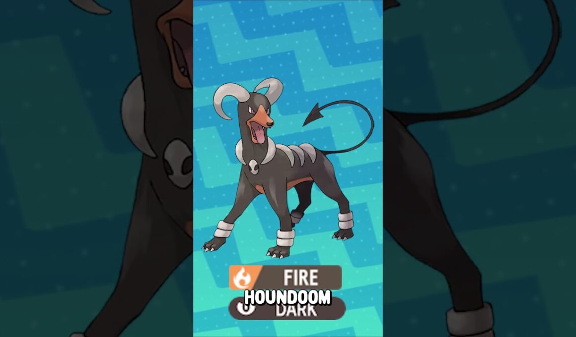 伝説Z-Aでチコリータを選ぶ？このチームを使いましょう！