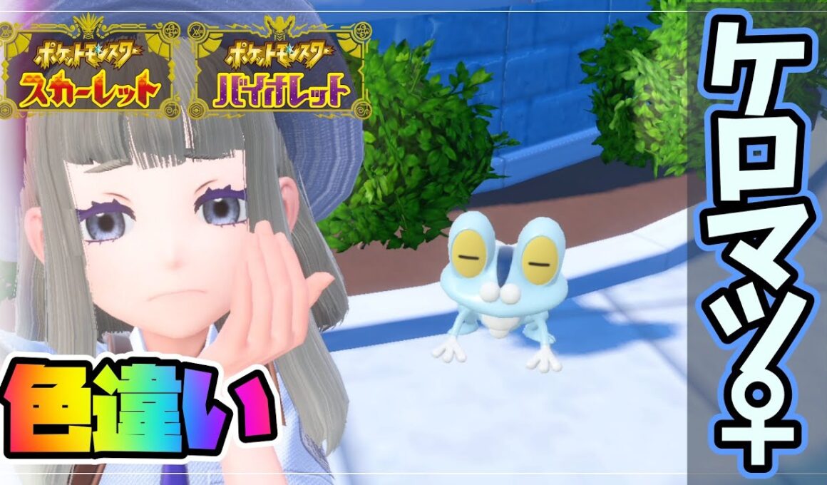【色違い✨】激レア色違いケロマツ♀爆誕!! 国際孵化厳選‐孵化数約2000!! 【ポケットモンスター スカーレット・バイオレット/ポケモンSV】