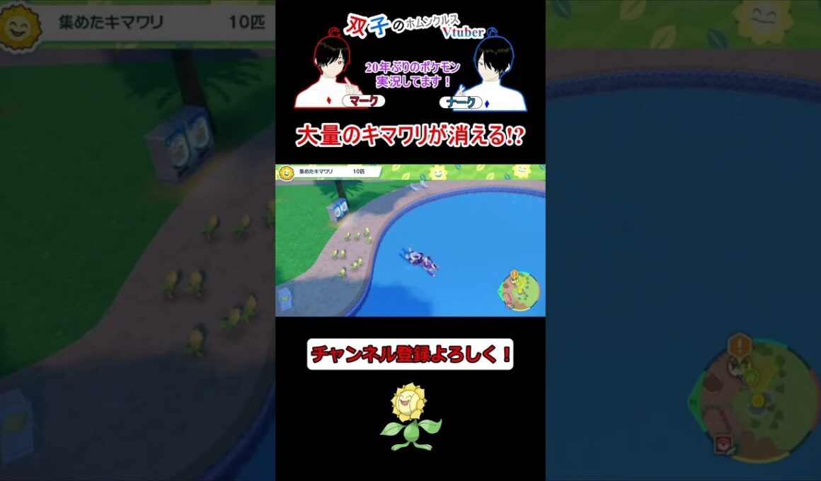 大量のキマワリが消える!?　#ポケモンsv #vtuber #shorts #キマワリ #面白い #キマワリ集め
