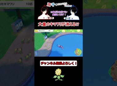 大量のキマワリが消える!?　#ポケモンsv #vtuber #shorts #キマワリ #面白い #キマワリ集め