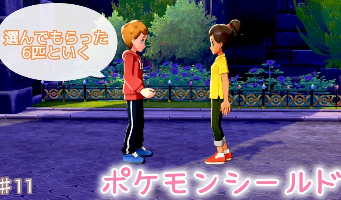 ♯11 迷いの森と恋の行方【ポケモンシールド】