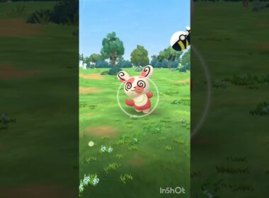 100iv spinda from field reasearch task 😱