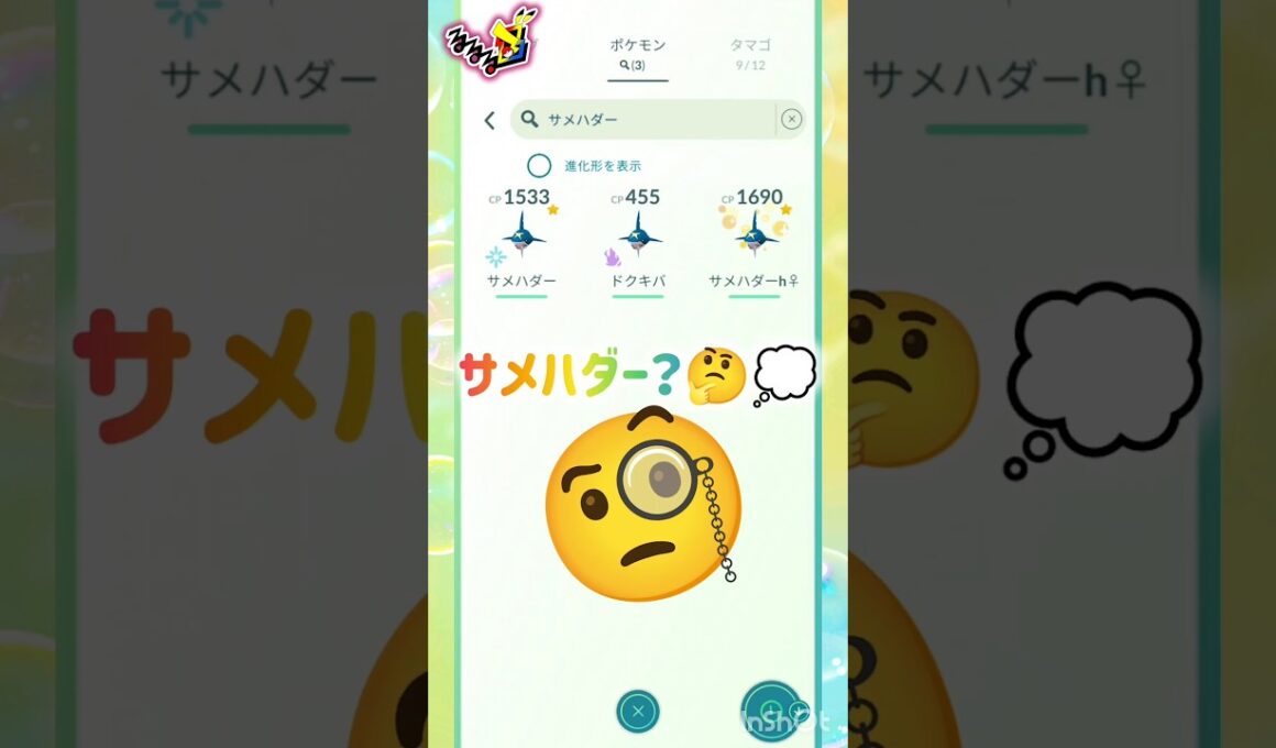 サメハダー🌊°∵○🐟✩°｡⋆ﾟ🌊レイド𝔻𝕒𝕪始まるよ❣️ ⸜( *´꒳`*)ฅ"ฅ( *´꒳`*)⸝ #pokemongo