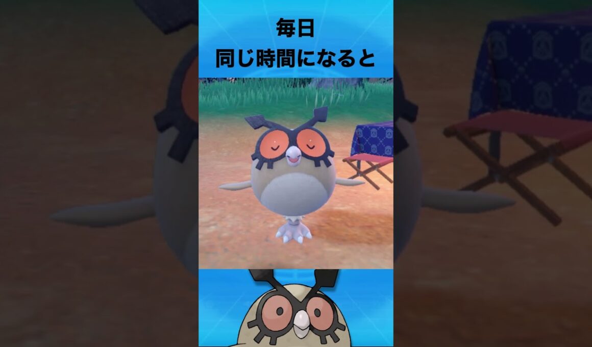 ホーホーについて #ポケモン #ホーホー