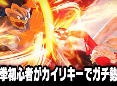 ポケモンの格ゲー『ポッ拳』に今更ハマったのでオンライン対戦で世界ランカーを目指す~第10話カイリキーが気持ち良すぎる~