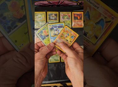 Pokedex Entry #9: Charizard, Wartortle, Weedle