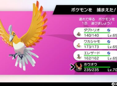 【キュレム、ソルガレオ、ゼルネアス：参加可】ダイマックスアドベンチャーでZAを見越して色違い厳選【ポケモン剣盾】