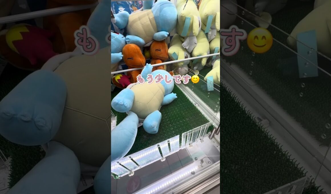 ゼニガメに挑戦❗️４回目🐢  #shorts