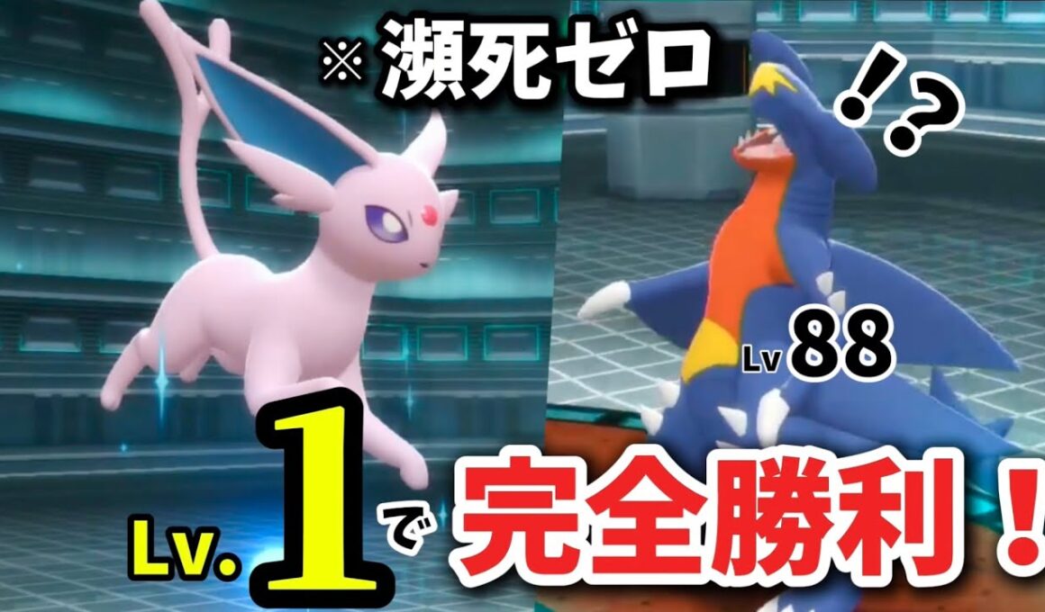 「強化シロナvs Lv.1ブイズパ」一体も倒されずに撃破！