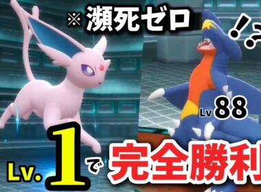 「強化シロナvs Lv.1ブイズパ」一体も倒されずに撃破！