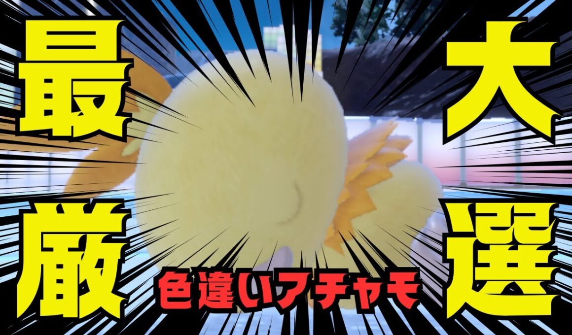 【ポケモンSV】でっかい色違いアチャモ厳選#shorts#縦型配信#色違い＃色違い厳選