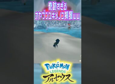 奇跡すぎて爆笑したオヤブンユキメノコ捕獲wwwww    #ゲーム実況 #youtube #shorts #ポケモン #pokemon #レジェンズアルセウス #モンスターボール #切り抜き