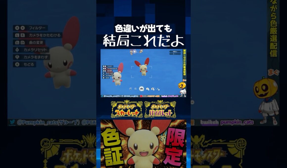 【ポケモンSV】結局これだよ!! プラスルの限定色証厳選をしてたら出た色違いが持ってた証とは!?【切り抜き】【色違いポケモン】【色違い厳選】#shorts