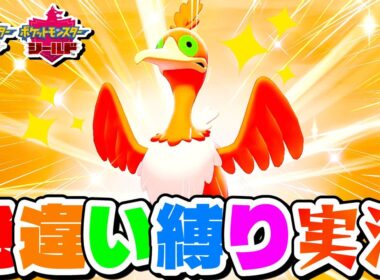 【ポケモン剣盾】遂に3桁で来た！色違いウッウ爆誕！【色違い縛り実況Part8】