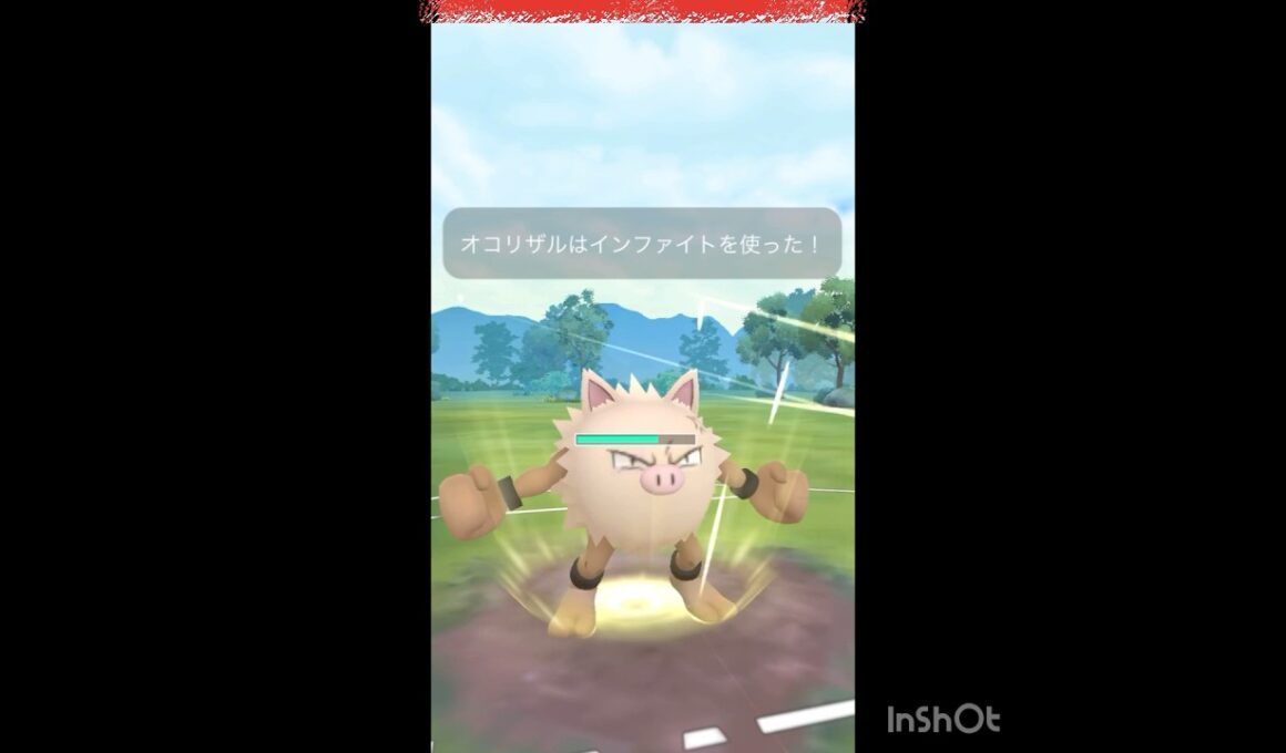 オコリザルしか勝たん😤