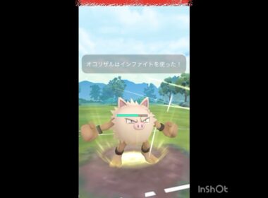 オコリザルしか勝たん😤