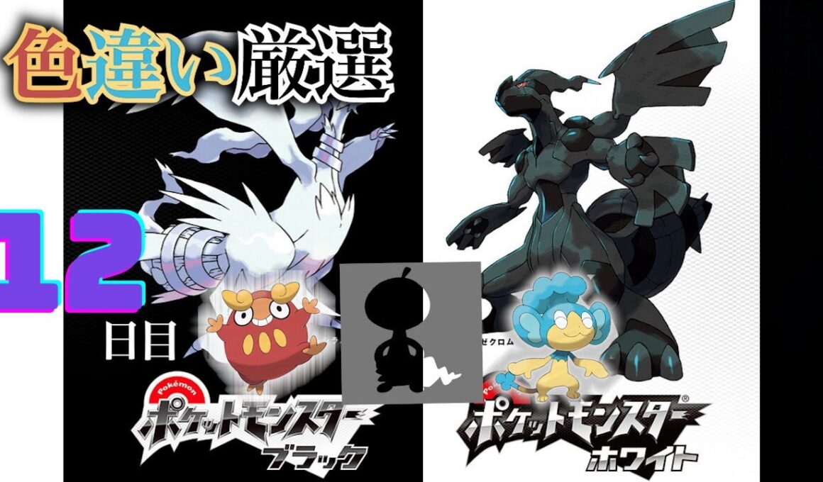 【ポケモンBW】4番道路(Shiny Pokémon)厳選(12日目) ~ヒヤップを添えて~