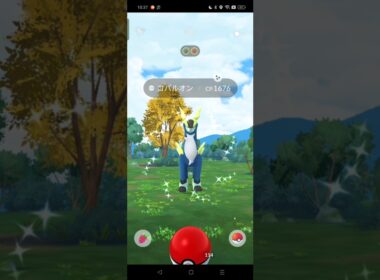 ランク100到達！『変わりゆく物語』の色違いコバルオンとノココッチ▼【ポケモンGO】