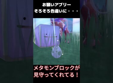 【ポケモンSV】お願いアブリー #ポケモンsv