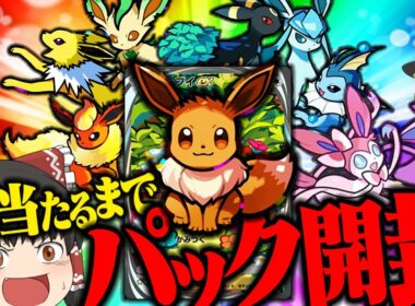 【ポケポケ 13】最新パックの『イーブイガーデン』に入ってるイーブイが可愛すぎて絶対に欲しい！！！ 【ゆっくり実況】