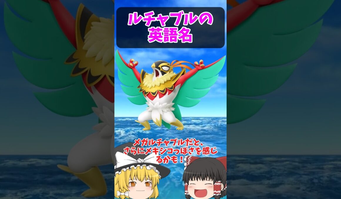 ルチャブルの “ブル” は…？ルチャブルの英語名！！