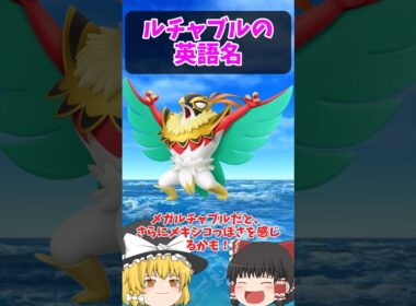 ルチャブルの “ブル” は…？ルチャブルの英語名！！