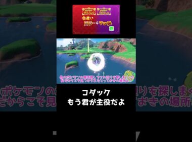 さとり・こいしの色違い図鑑写真部＃２８ヒメグマ　捜索難易度・顔面ドアップって・・・　ポケモンSV色違いミラーマッチ旅＃２　の番外　 #ポケモンsv #ポケモン #色違いの旅 #ゆっくり実況