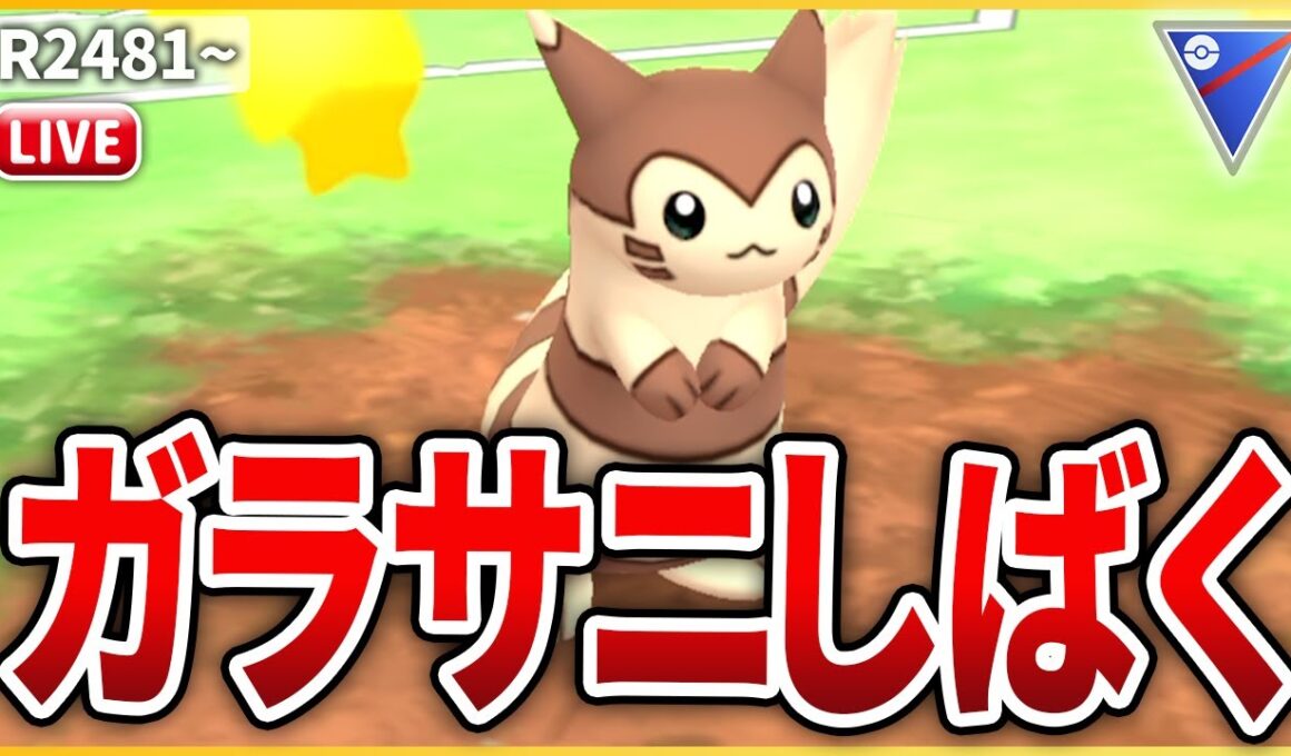 【スーパーリーグ】爆増中のGサニーゴを「オオタチ」でしばくぞ！