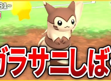 【スーパーリーグ】爆増中のGサニーゴを「オオタチ」でしばくぞ！