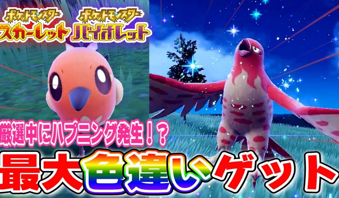 【ポケモンSV】鳥ポケ大量発生イベントでヤヤコマ最大色違いを狙ってみた！