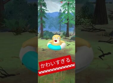 かわいすぎるコダックでたwwwwww #ポケモン #ポケモンgo #コダック #うきわコダック #かわいすぎる