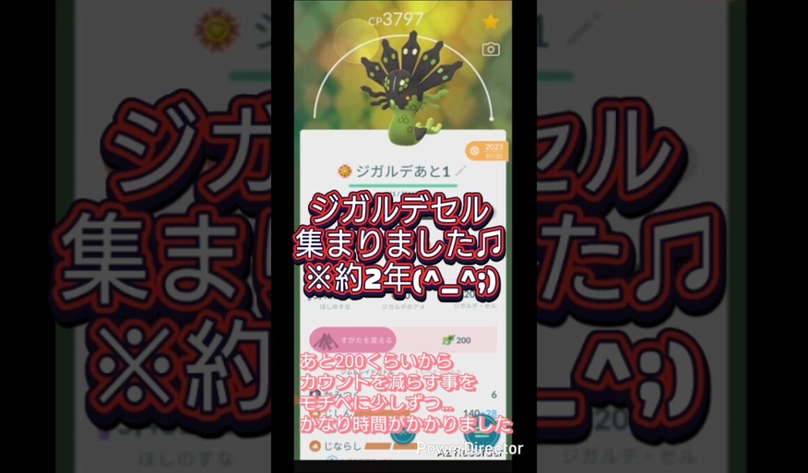 ジガルデセル集まりました！ついにパーフェクトフォルムへ♫ #ポケモンgo #ジガルデ #shorts
