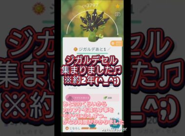 ジガルデセル集まりました！ついにパーフェクトフォルムへ♫ #ポケモンgo #ジガルデ #shorts