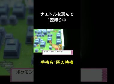 手持ち1匹の利点【ポケモン】【ダイパリメイク】【縛り】 #shorts  #ダイパリメイク #ポケモン #ナエトル #萎えとる