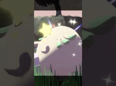 あと1回早くきてたら"ラッキー"だったのに#ポケモン#色違い