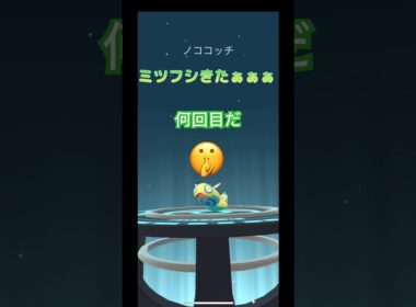 ノコッチ何回目でミツフシノココッチ出るか１００回進化やってみた🫣