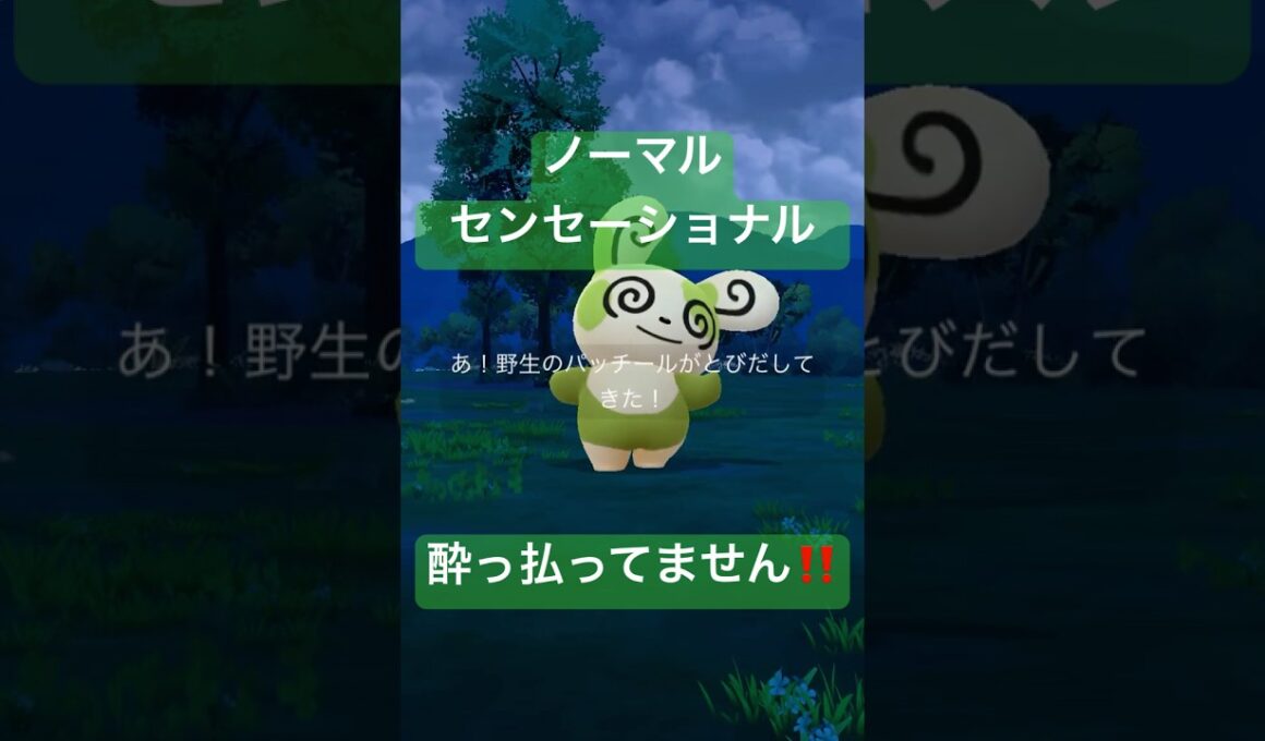 【タスク産】パッチールの色違い出現‼️# #ポケモンgo #pokemongo