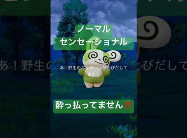 【タスク産】パッチールの色違い出現‼️# #ポケモンgo #pokemongo