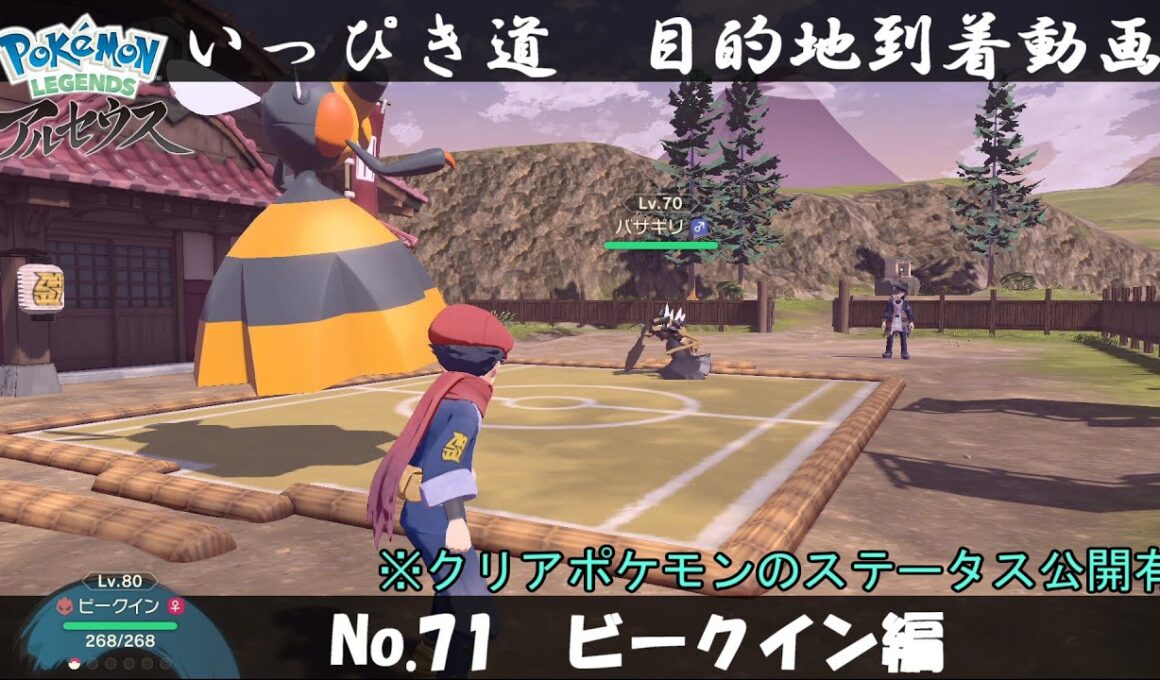 【いっぴき道攻略】No.71 ビークイン編【Pokémon LEGENDS アルセウス】