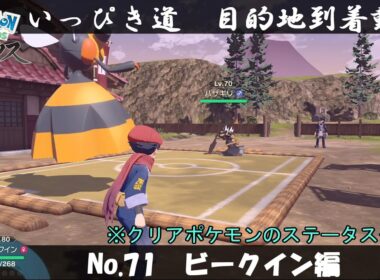 【いっぴき道攻略】No.71 ビークイン編【Pokémon LEGENDS アルセウス】