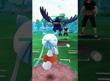 スーパーリーグ Win マルヤクデ&アーマーガア&ユキメノコ ファイトバック#pokemongo #gbl #gobattleleague #고배리 #슈퍼리그 #oricon #ポケモンgo