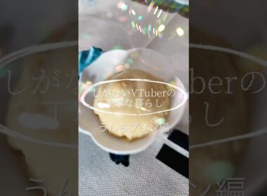 しがないVTuberの丁寧な暮らし #うんちプリン #vlog #おしゃれ #ルーティン #vtuber